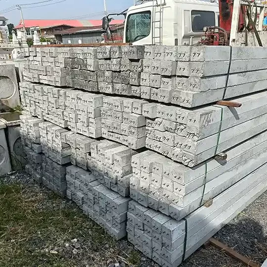 _0000_IMG20231129093034