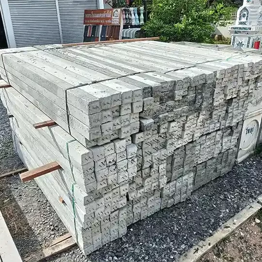 _0002_IMG20231129092947