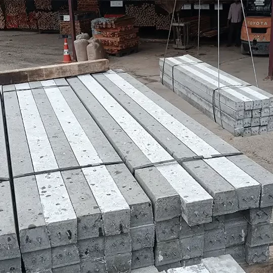 _0005_IMG20231109080726