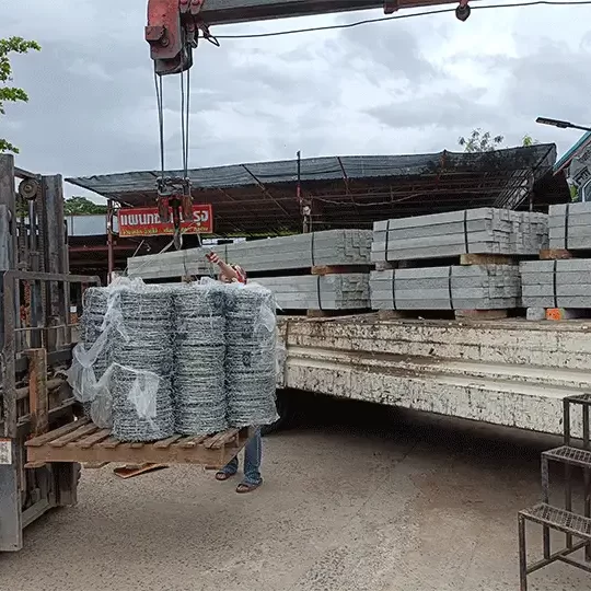 _0006_IMG20231109075909