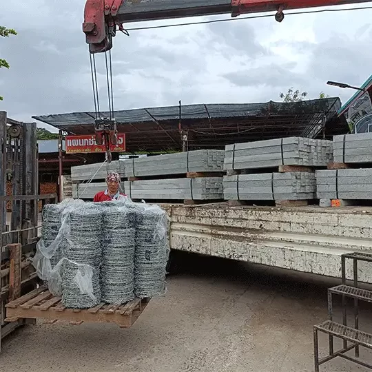 _0007_IMG20231109075904